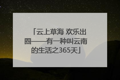 云上草海 欢乐出圈——有一种叫云南的生活之365天